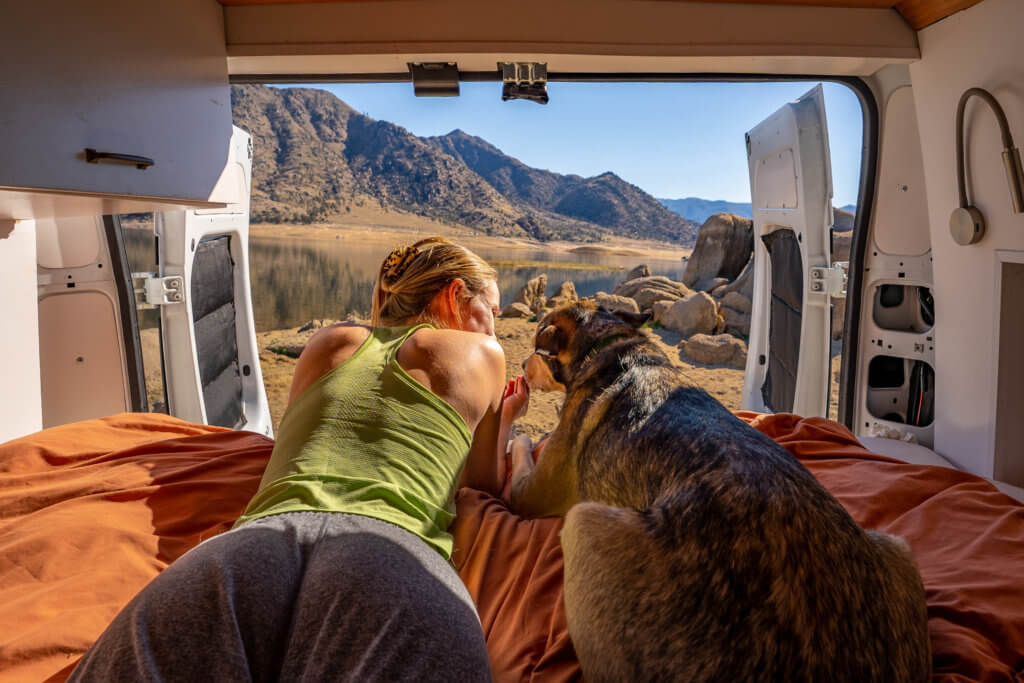 VanLife with Dogs