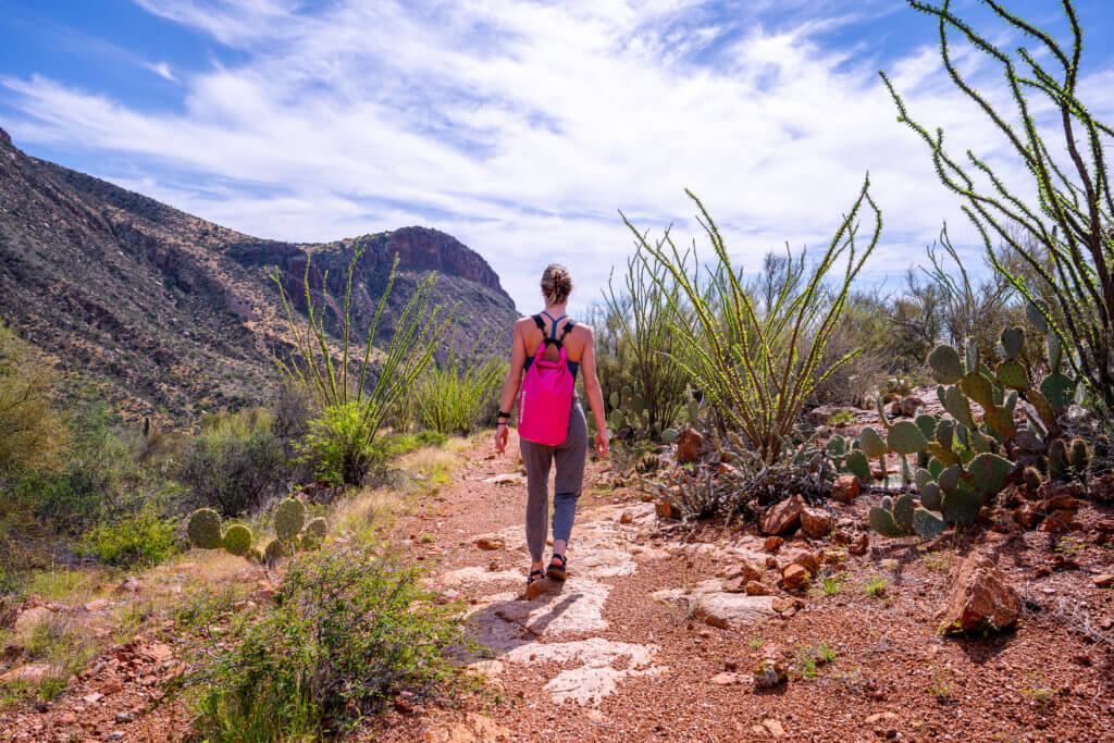 The trail leading to Salome Jug Canyon