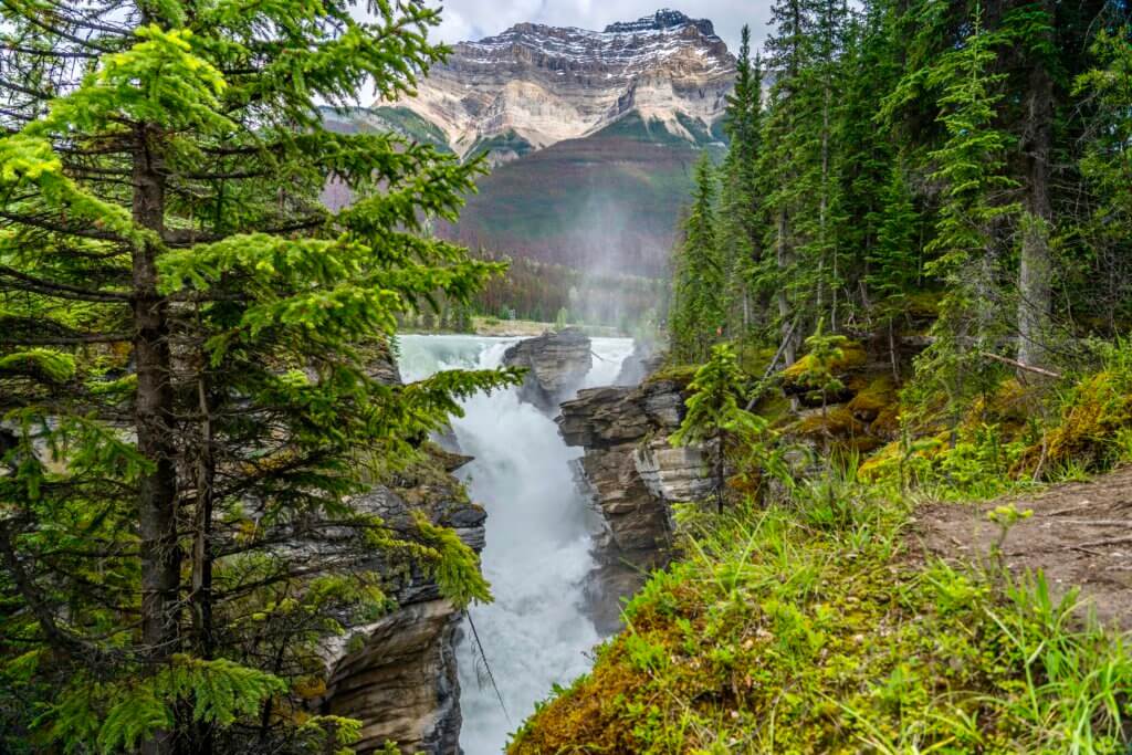 Banff on a Budget, Athabasca Falls