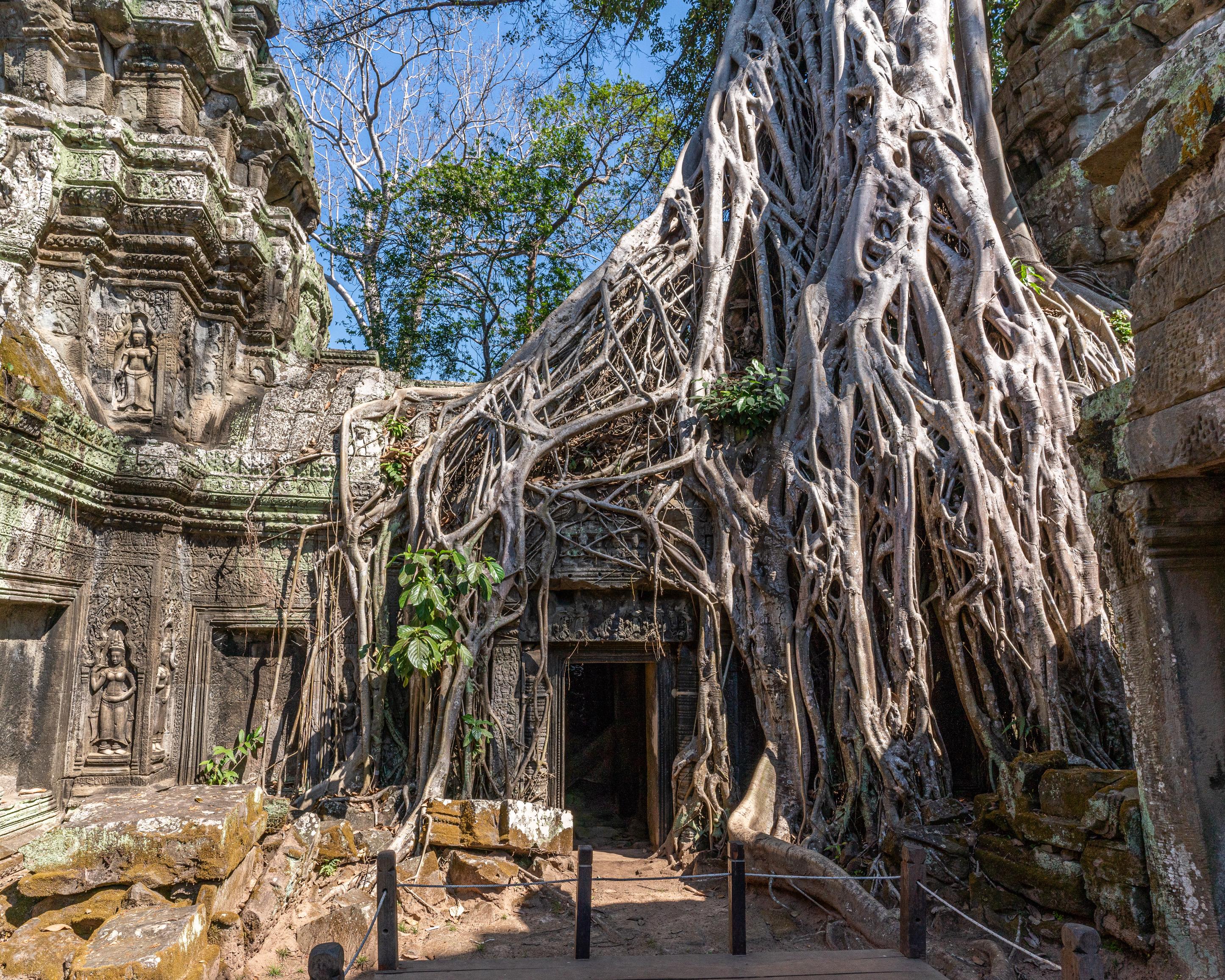 Ta Phrom Temple in Angkor